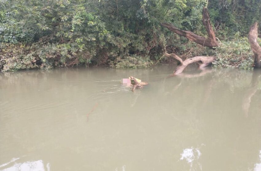  Populares encontram corpo no Rio Iguaçu de pescador que estava desaparecido