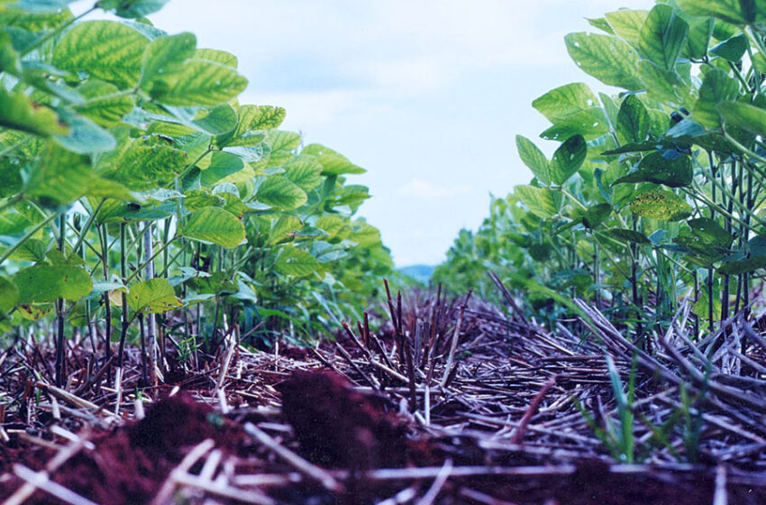  Plano de baixa emissão de carbono na agricultura é apresentada pelo Paraná