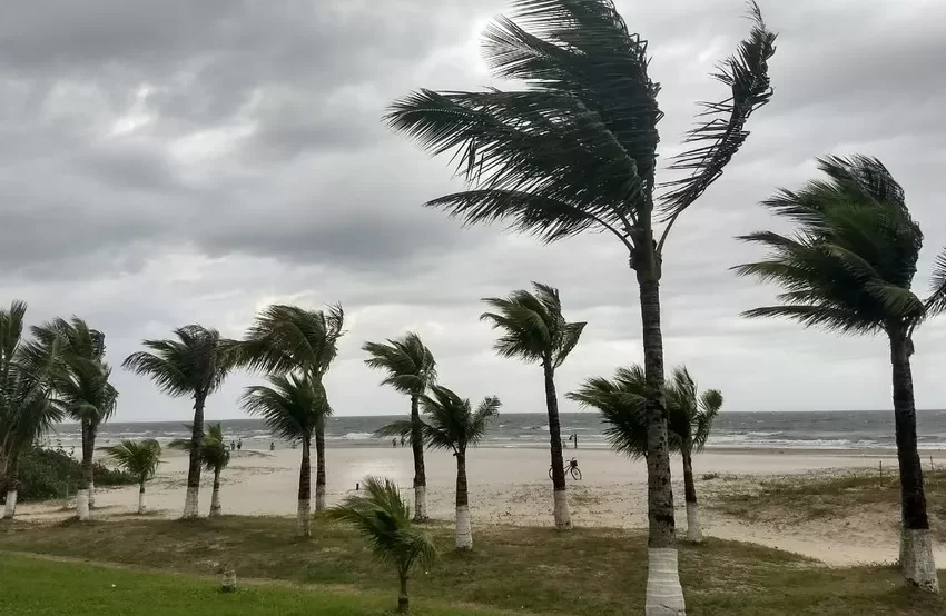  Paraná: Defesa Civil emite alerta de ventos que podem chegar até 110 km/h por conta do ciclone extratropical