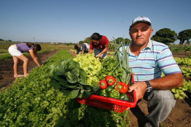  Conab firma acordo para ampliar a participação e aumentar compras institucionais da agricultura familiar