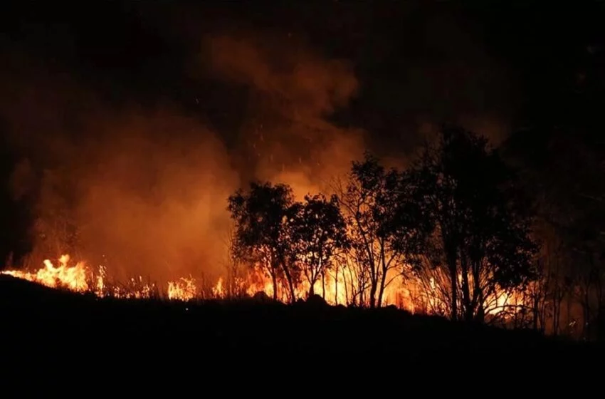  Amazonas têm mais de 1.600 focos de fogo ativos e Ibama manda reforço de 149 brigadistas