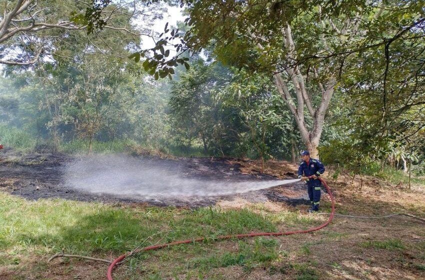  Fogos de artificio causam incêndio ambiental