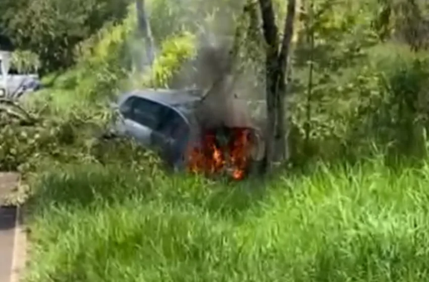  Carro incendeia após colidir contra árvore na PR 180