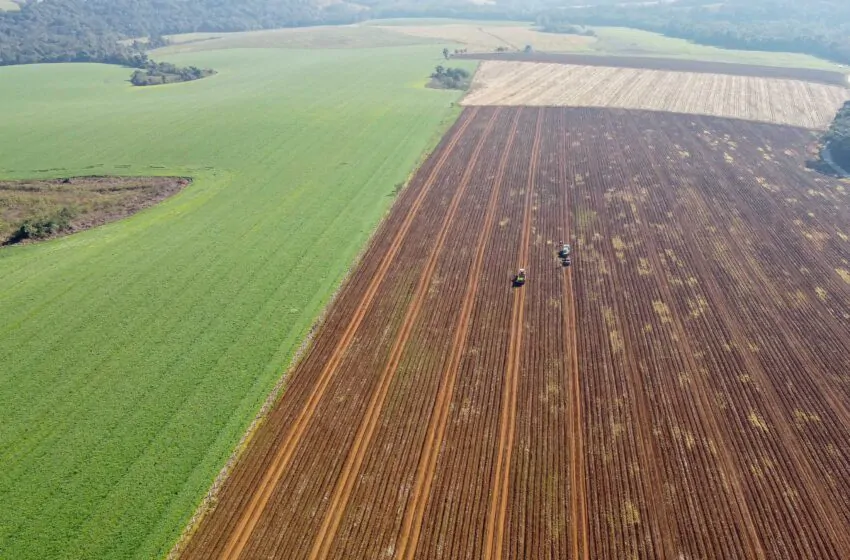  Governo do Paraná divulga pesquisa com preços das terras agricultáveis