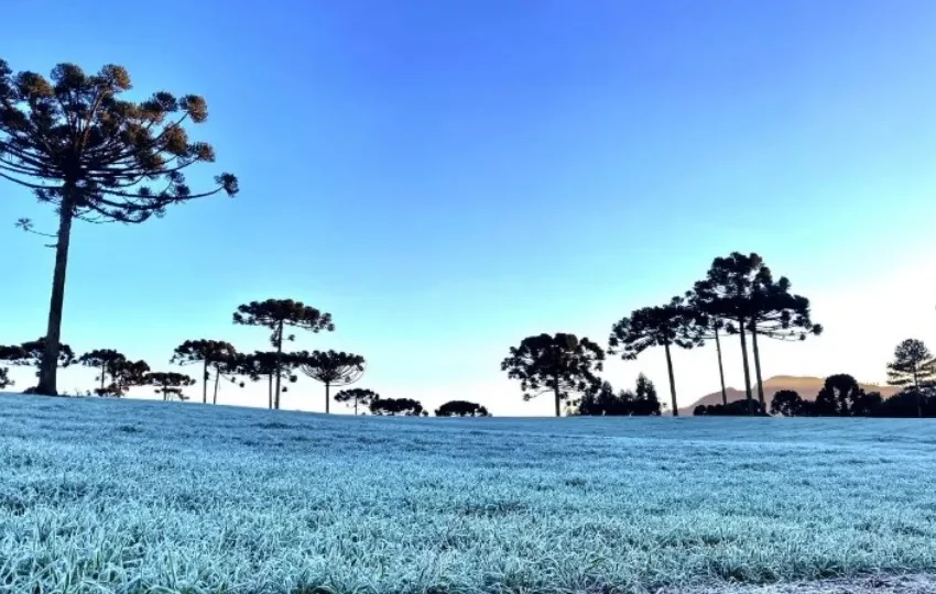  Frio intenso irá atingir o Paraná nesse fim de semana, fique por dentro das cidades afetadas