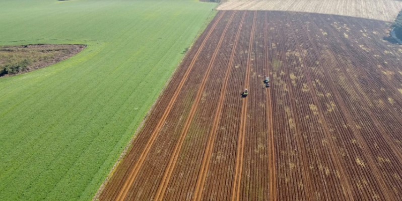  Terra nua do Paraná é considerada a mais cara do Brasil