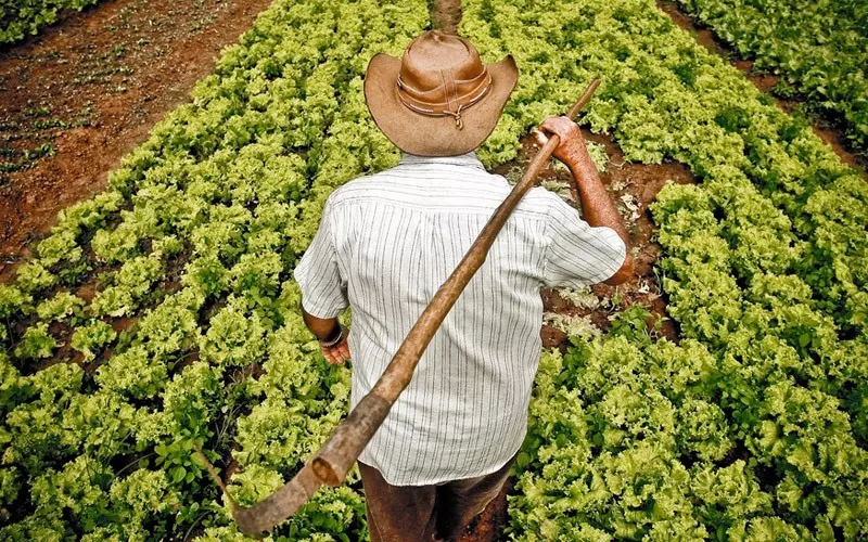  Lula lança Plano Safra da Agricultura Familiar 2024/2025 com R$ 76 bilhões destinados ao crédito rural