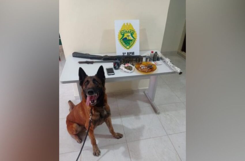  Homem é preso com drogas e arma após denúncia de furto de geladeira em Pato Branco