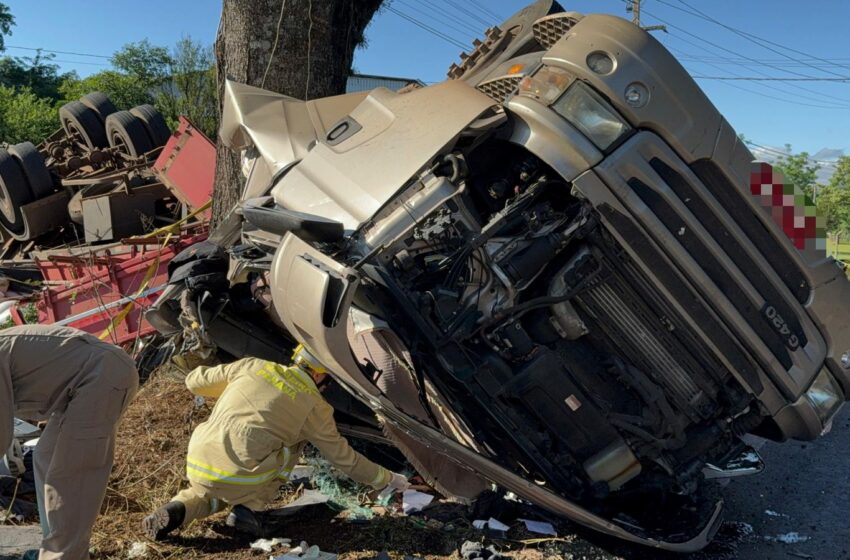  Motorista fica ferido após carreta carregada com sementes tombar em curva na PR 566