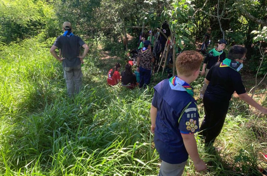  IAT dá início ao plantio de 5 mil mudas nativas para fortalecer a proteção dos rios do Paraná