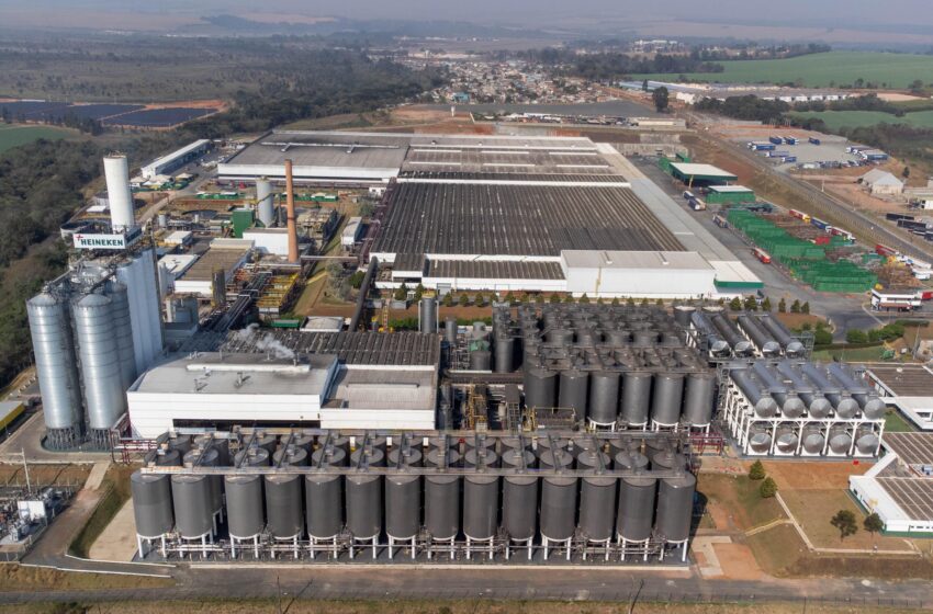  Paraná lidera crescimento da produção industrial em vários segmentos